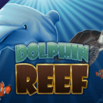 Dolphin Reef logo