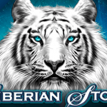 Siberian Storm logo