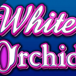 White Orchid logo