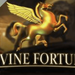 Divine Fortune logo