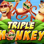 Triple Monkey logo