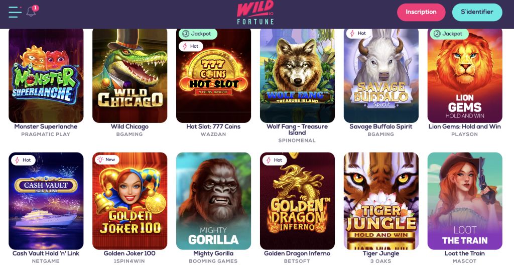 Wild Fortune Casino jeux