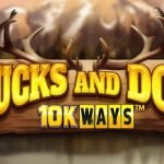 Bucks and Doe 10K WAYS logo
