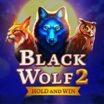 Black Wolf 2 logo