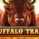 Buffalo Trail logo