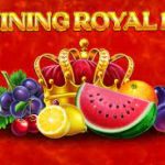 Shining Royal 100 logo