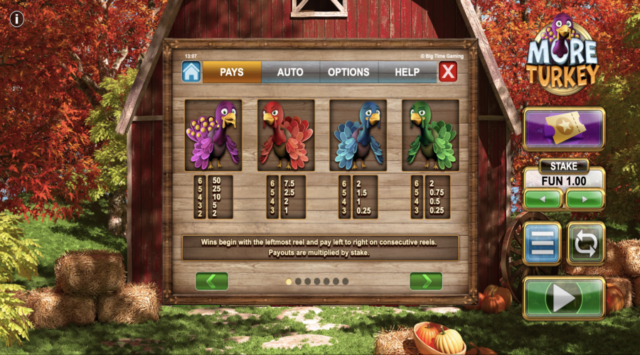 More Turkey Symboles du jeu