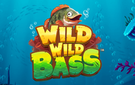 Machine a sous Wild Wild Bass