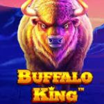 Buffalo King logo