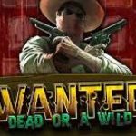 Wanted Dead or a Wild logo