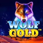 Wolf Gold logo