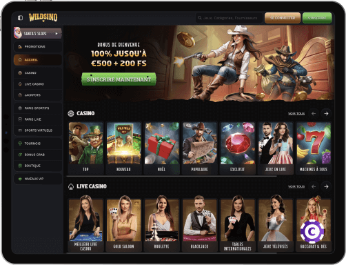 Wildsino Casino jeux