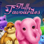 Fluffy Favourites logo
