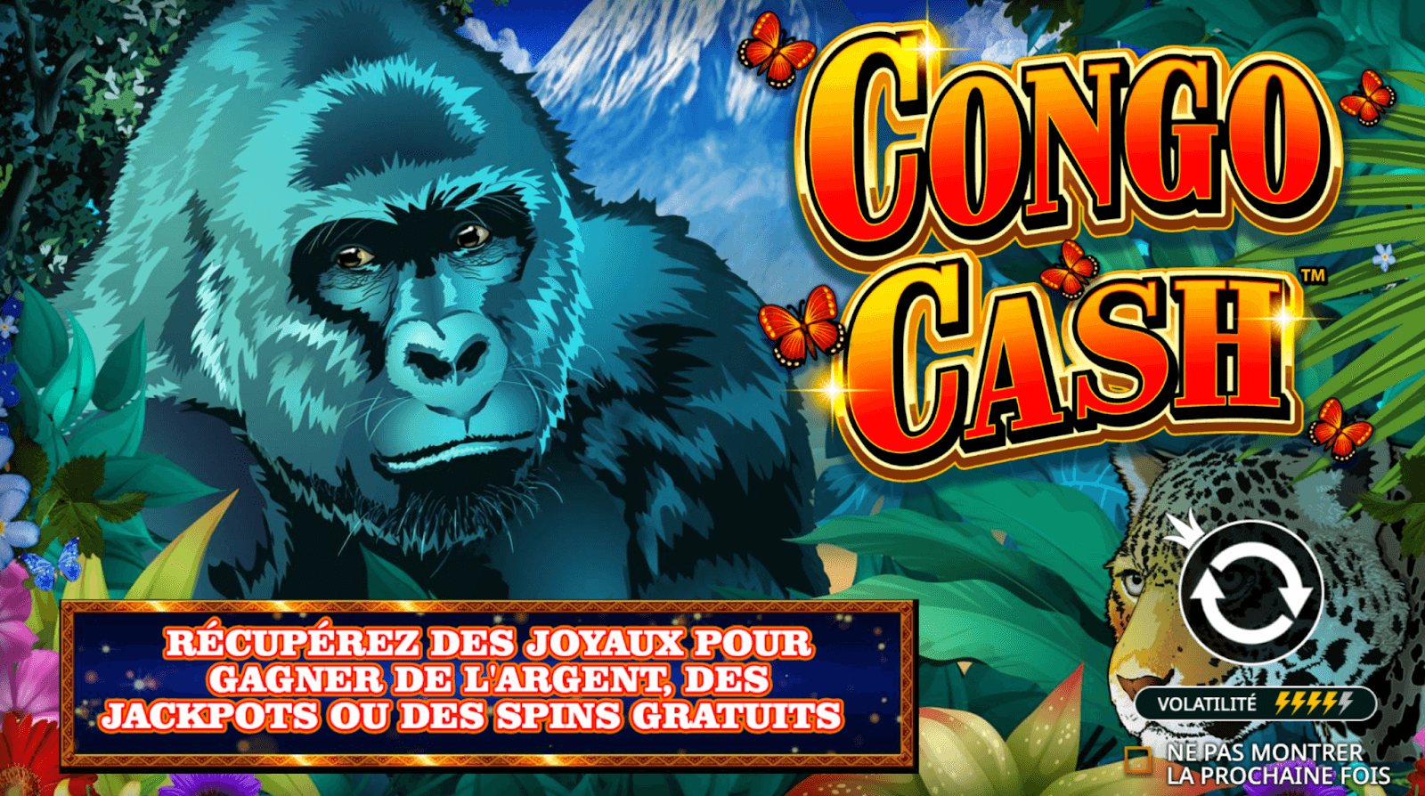 Machine à sous Congo Cash