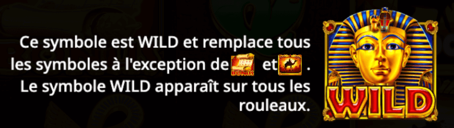 Pyramid King Symbol Wild