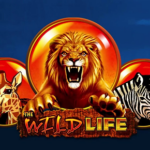 The Wild Life logo