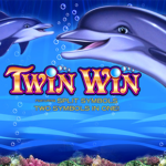 Twin Win logo