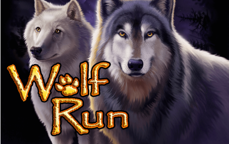 Machine a sous Wolf Run