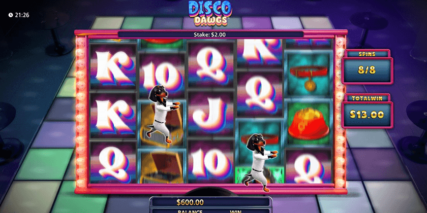 Disco Dawgs