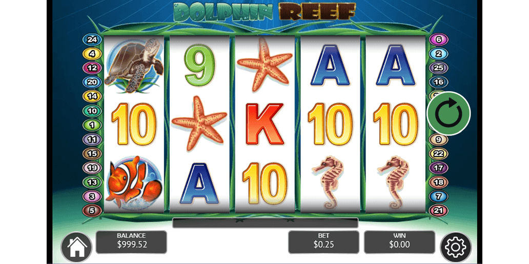Dolphin Reef