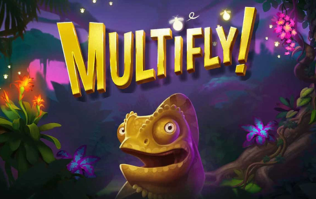 Machine a sous MultiFly
