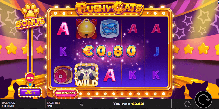 Pushy Cats