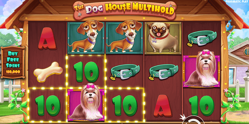 The Dog House Multihold