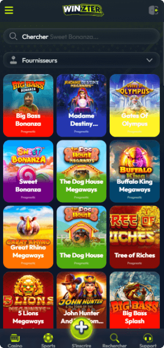 Winzter Casino mobile