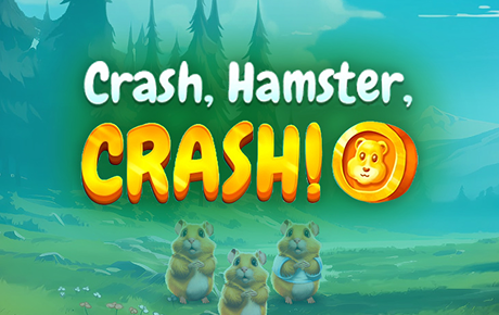 Machine à sous Crash Hamster Crash