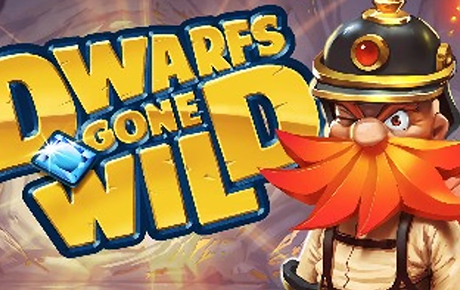 Machine à sous Dwarfs Gone Wild