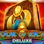 Book of Riches Deluxe logo