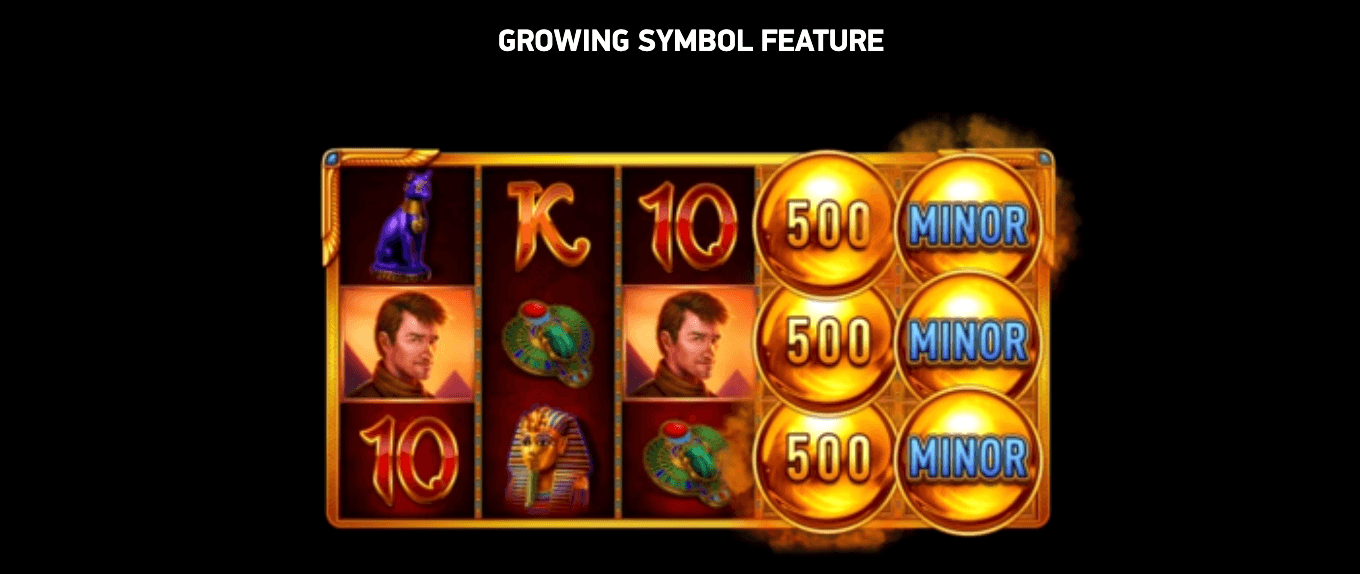 Book of Riches Deluxe Growing Symbol Feature