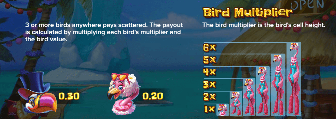 Tropicool 2 Symboles