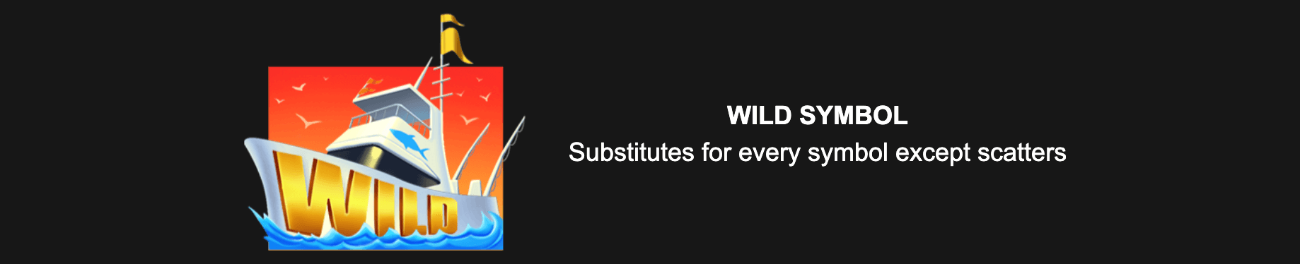 4 Fantastic Fish in Egypt Wild