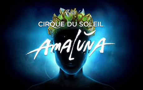 Machine à sous Cirque du Soleil Amaluna
