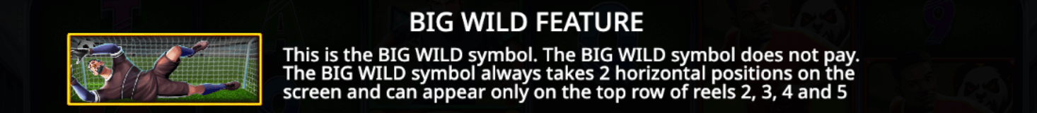 Spin & Score Megaways Big Wild