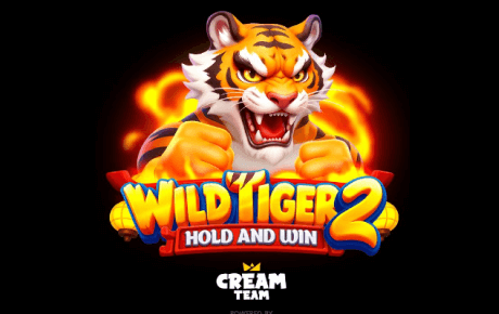 Machine à sous Wild Tiger 2 Bgaming