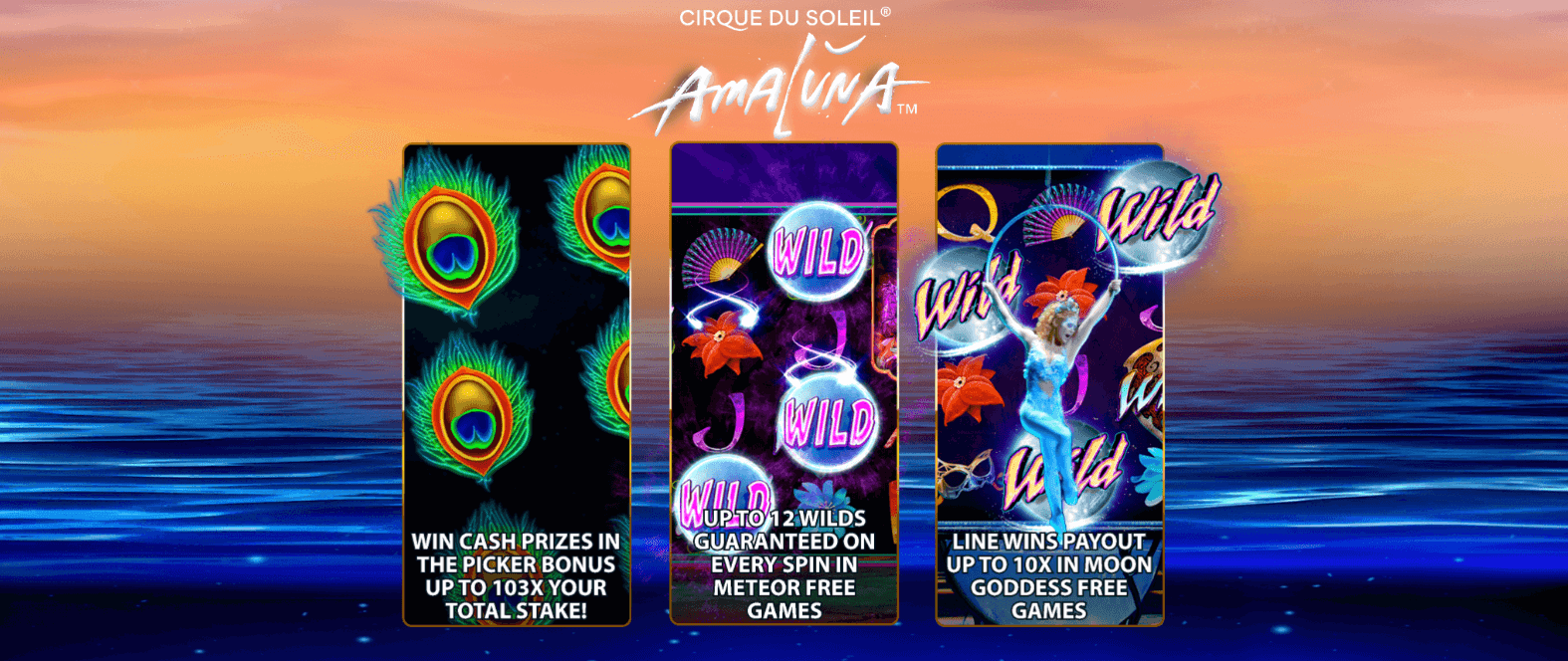 Cirque du Soleil Amaluna Avis