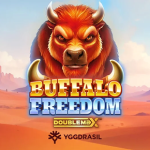 Buffalo Freedom logo