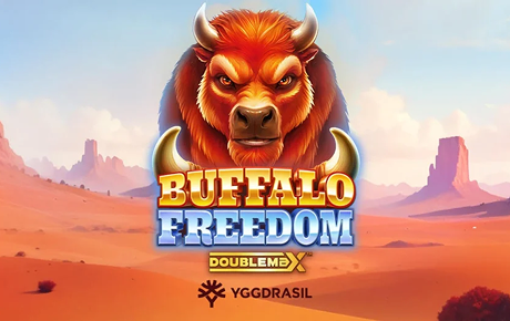 Machine à sous Buffalo Freedom