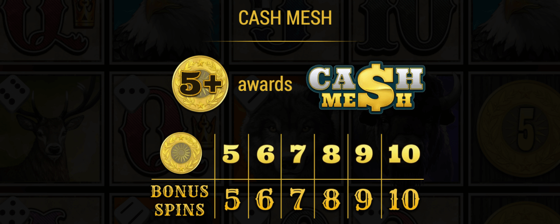 Buffalo Trail Dice Cash Mesh