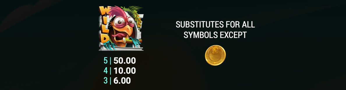 Chicken Madness Dice Symboles