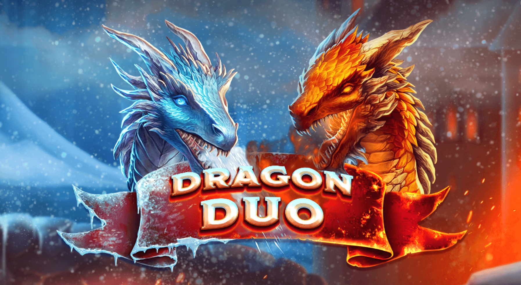 Dragon Duo Avis