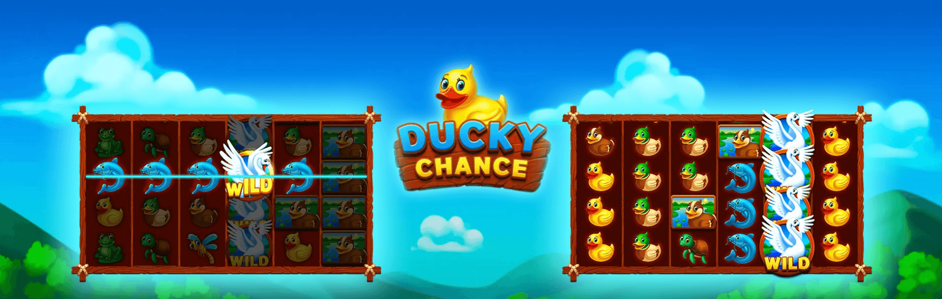 Ducky Chance Avis