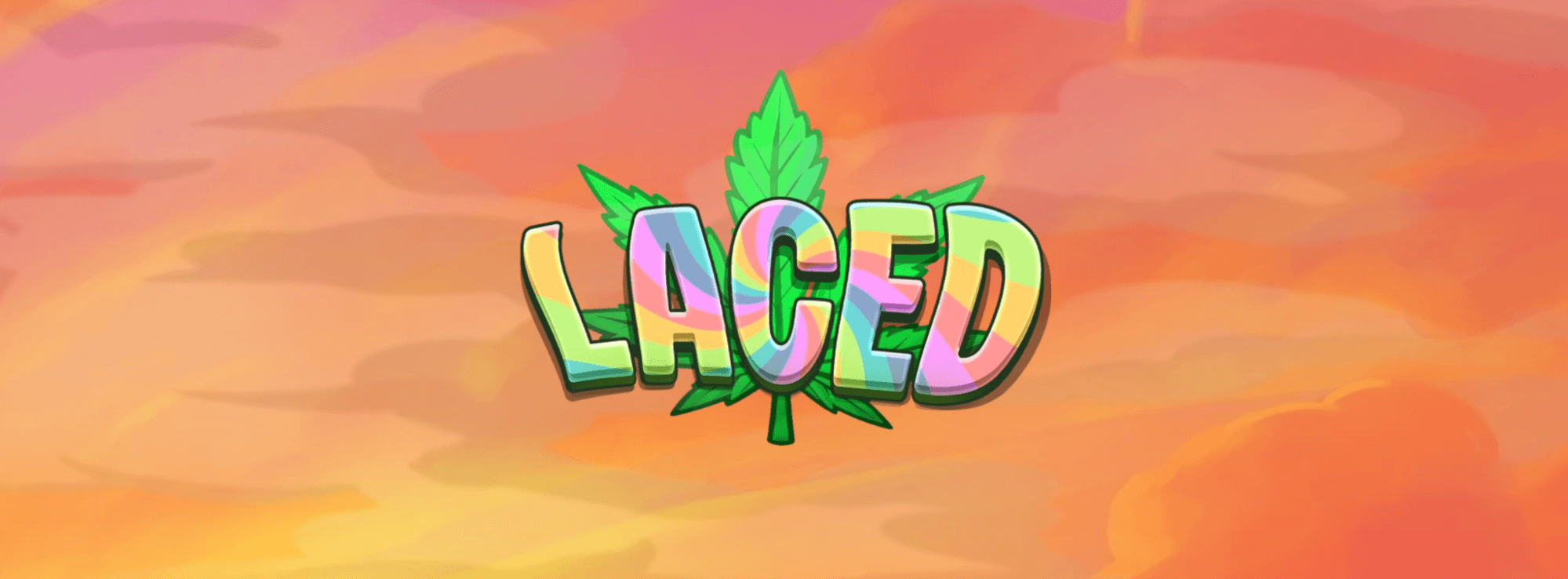 Laced Avis