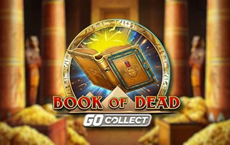 Machine à sous Book of Dead GO Collect Play'n Go