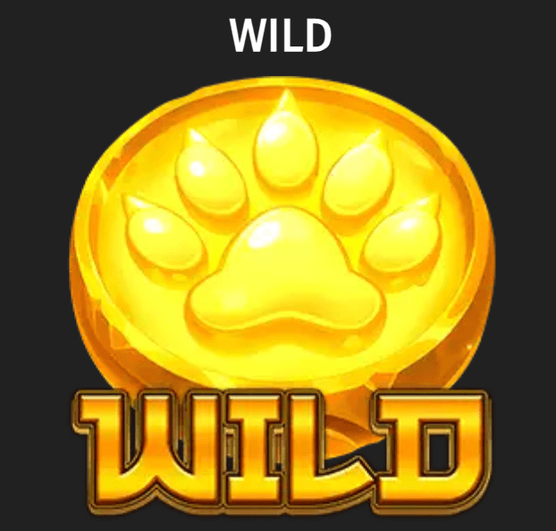Panda Fortune Rush Symbole
