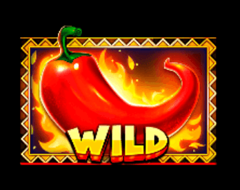 Chilli Fiesta Symbole