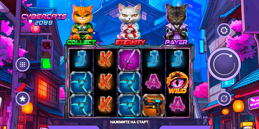 Cybercats 2088 Amigo Gaming