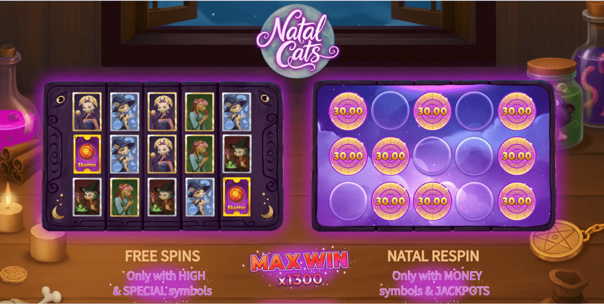 Natal Cats Avis